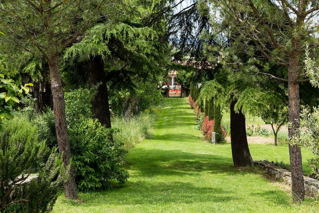 Casale Vacanze Il Granaio Cortona Exteriér fotografie