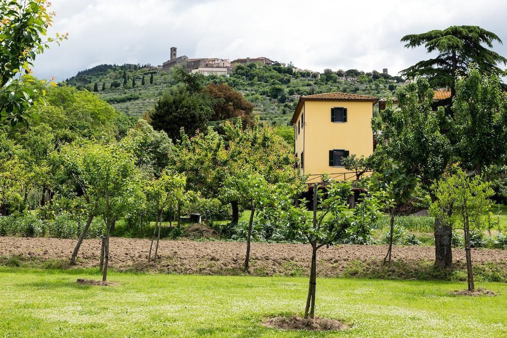 Casale Vacanze Il Granaio Cortona Exteriér fotografie